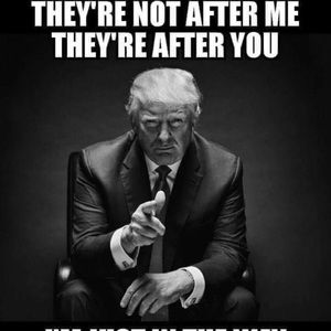 Meet your Posher, Misty